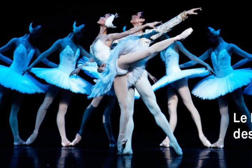 Le Lac Des Cygnes Au Théâtre Du Châtelet - Sortiraparis.com