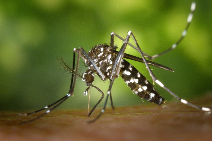 Tiger Mosquito Paris And Almost The Entire Ile De France In Red Vigilance Sortiraparis Com