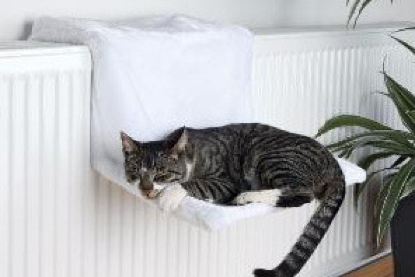 Cadeaux De Noel 16 Pour Animaux Un Lit Radiateur Pour Chat Sortiraparis Com