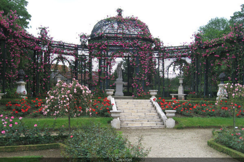 La Roseraie du Val-de-Marne, un spot enchanteur à ...