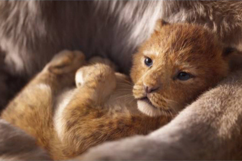 The Lion King By Jon Favreau Review And Trailer Sortiraparis Com