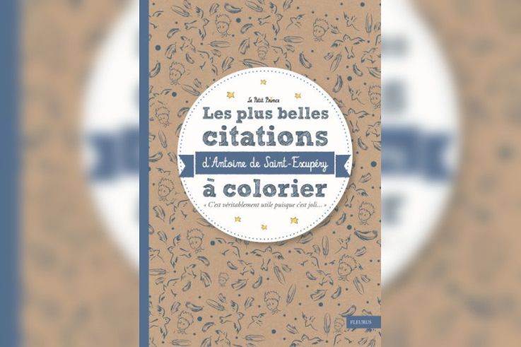 Cadeaux De Noel 16 Originaux Et Abordables Un Livre De Coloriage Des Plus Belles Citations De Sa Sortiraparis Com