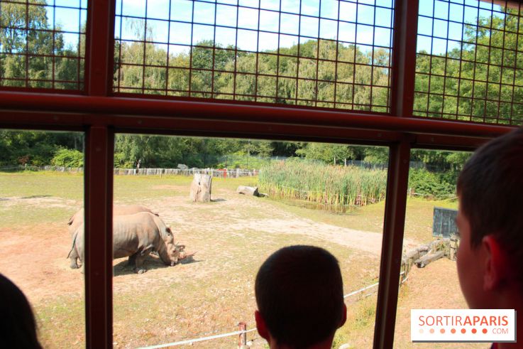 zoo thoiry safari voiture