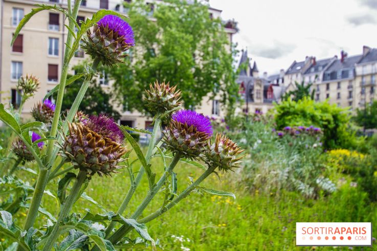 Les Parcs Et Jardins Les Plus Insolites De Paris - Sortiraparis.com