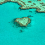 Australia Now 2021: Dive into the heart of the reefs, the exhibition at the Paris Aquarium