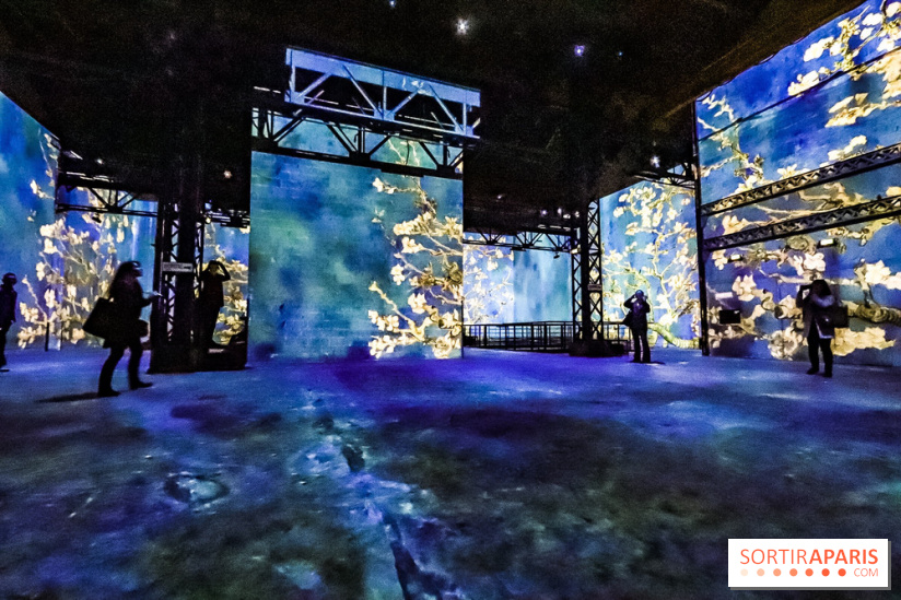 Van Gogh, la nuit étoilée l'exposition immersive à l'Atelier des