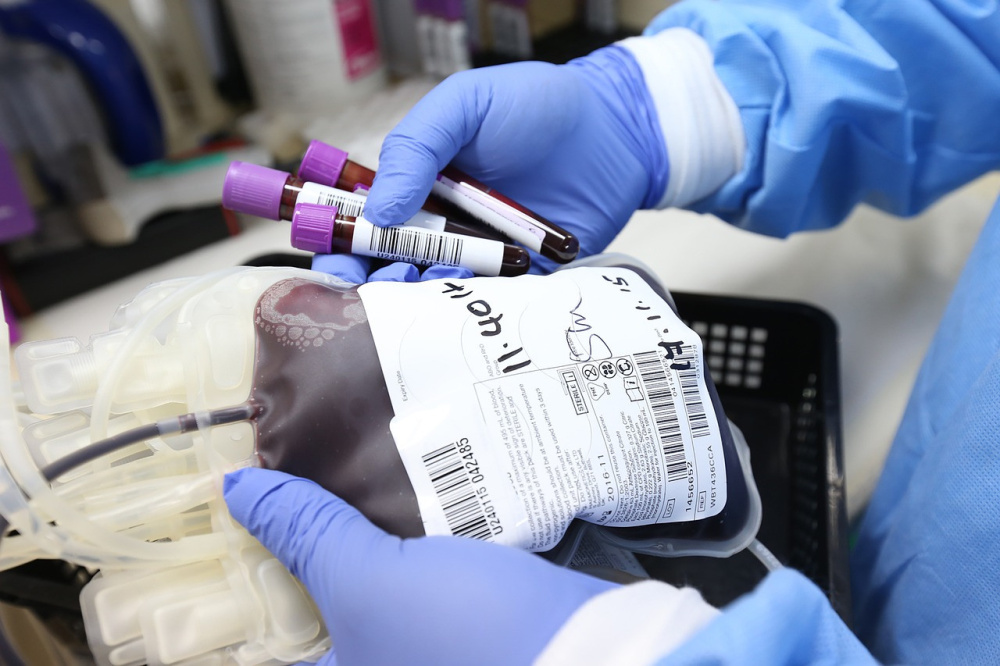 Blood donation finally open to homosexuals, without conditions