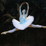 L'Opéra de Paris présente son premier grand ballet en concert en live streaming