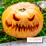 Halloween 2020 : comment creuser une citrouille  le tuto