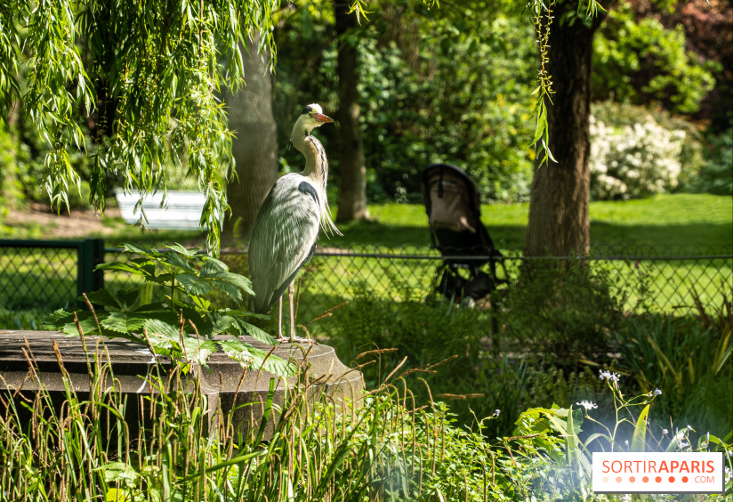 Visual Paris Parc Monceau