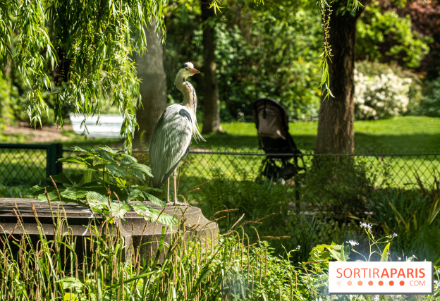 Visual Paris Parc Monceau